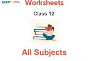 Worksheets Class 12 Pdf Download