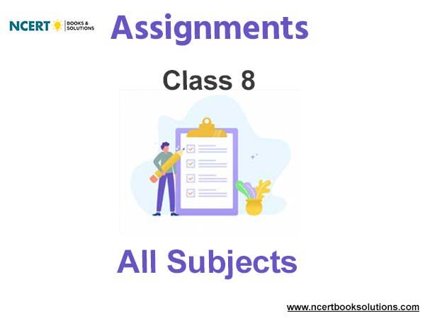 Assignments Class 8 PDF Download