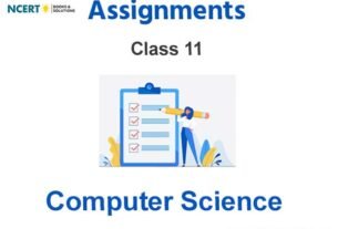 Assignments Class 11 Computer Science Pdf Download