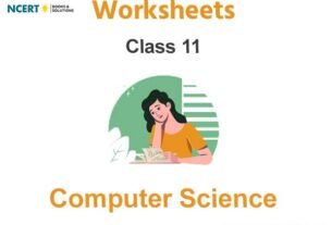 Worksheets Class 11 Computer Science Pdf Download