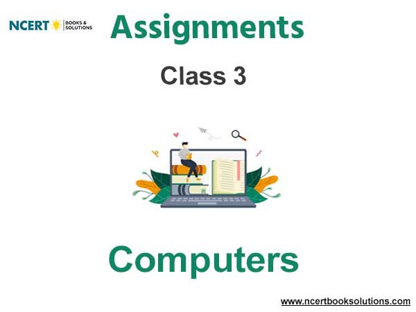 Assignments Class 3 Computers Pdf Download