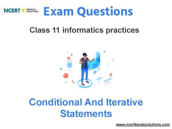 Conditional and Iterative Statements Informatics Practices Exam Questions