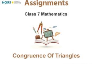 Assignments Class 7 Mathematics Congruence Of Triangles Pdf Download