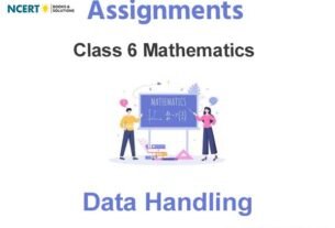 Assignments Class 6 Mathematics Data Handling Pdf Download