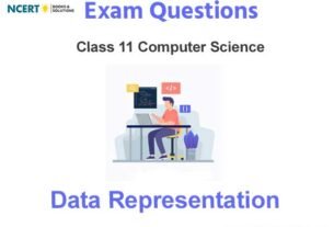 Data Representation Computer Science Exam Questions