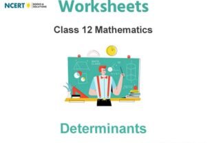 Worksheets Class 12 Mathematics Determinants Pdf Download
