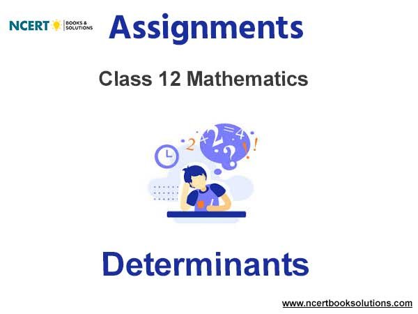 Assignments Class 12 Mathematics Determinants Pdf Download
