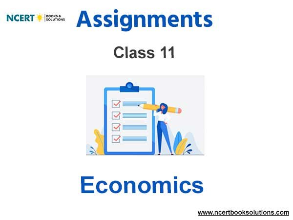 Assignments Class 11 Economics Pdf Download