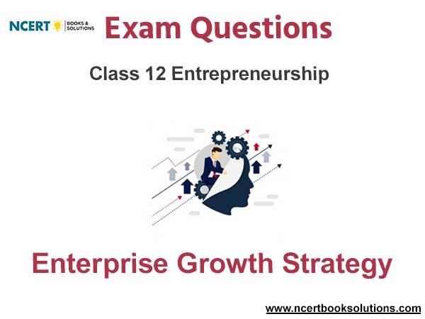 Enterprise Growth Strategy Class 12 Entrepreneurship Exam Questions