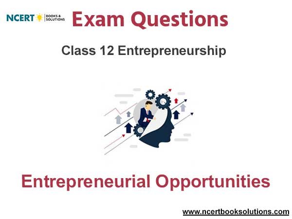 Entrepreneurial Opportunities Class 12 Entrepreneurship Exam Questions