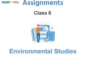 Assignments Class 6 Environmental Studies Pdf Download