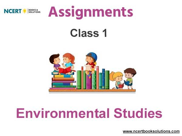 Assignments Class 1 Environmental Studies Pdf Download