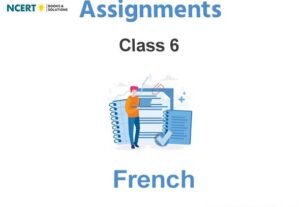 Assignments Class 6 French Pdf Download