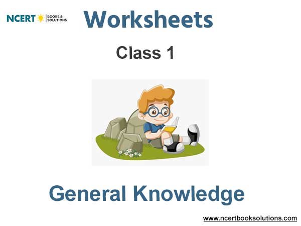 Worksheets Class 1 General Knowledge Pdf Download