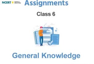 Assignments Class 6 General Knowledge Pdf Download
