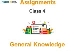 Assignments Class 4 General Knowledge Pdf Download