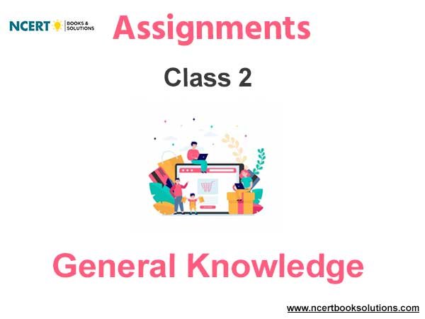 Assignments Class 2 General Knowledge Pdf Download
