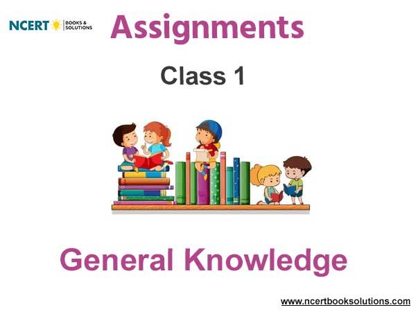 Assignments Class 1 General Knowledge Pdf Download