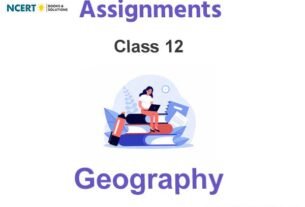 Assignments Class 12 Geography Pdf Download