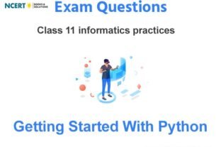 Getting Started With Python Informatics Practices Exam Questions