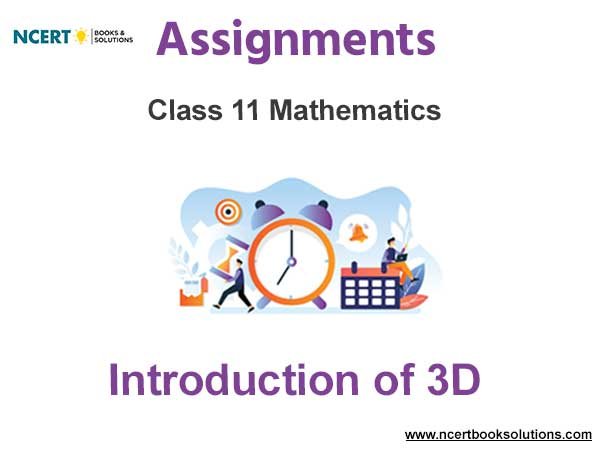 Assignments Class 11 Mathematics Introduction of 3D Pdf Download