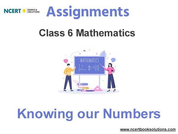 Assignments Class 6 Mathematics Knowing our Numbers Pdf Download