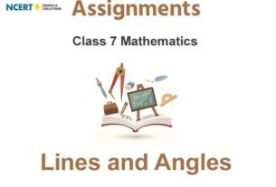 Assignments Class 7 Mathematics Congruence Of Lines And Angles Pdf Download
