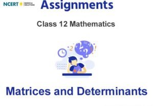 Assignments Class 12 Mathematics Matrices and Determinants Pdf Download