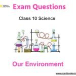 Our Environment Class 10 Science Exam Questions