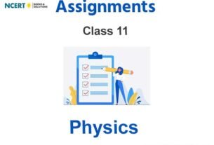Assignments Class 11 Physics Pdf Download