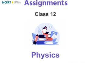 Assignments Class 12 Physics Pdf Download