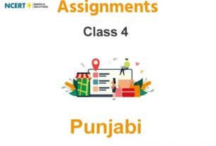 Assignments Class 4 Punjabi Pdf Download