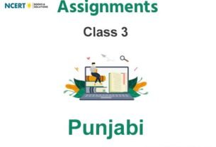 Assignments Class 3 Punjabi Pdf Download