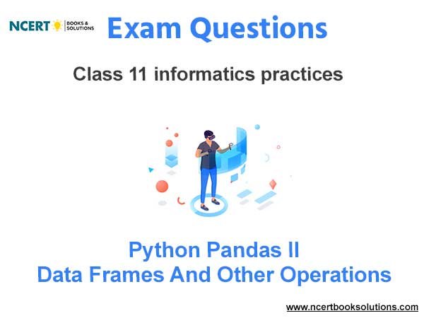 Python Pandas II-DataFrames and Other Operations Informatics Practices Exam Questions