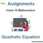Assignments Class 10 Mathematics Quadratic Equation Pdf Download