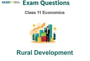 Rural Development Class 11 Economics Exam Questions
