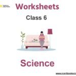 Worksheets Class 6 Science Pdf Download