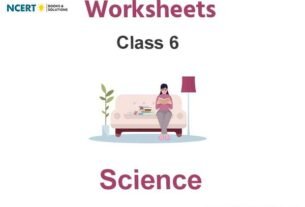 Worksheets Class 6 Science Pdf Download