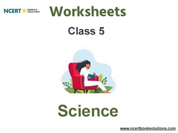Worksheets Class 5 Science Pdf Download