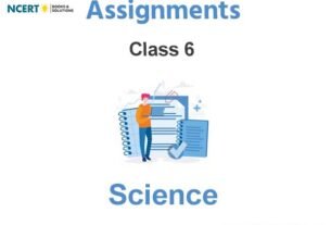 Assignments Class 6 Science Pdf Download