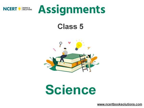 science assignment for class 5