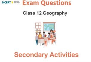 Secondary Activities Class 12 Geography Exam Questions