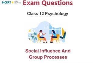Social Influence and Group Processes Class 12 Psychology Exam Questions