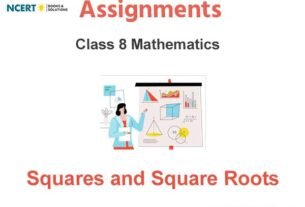 Assignments Class 8 Mathematics Squares and Square Roots PDF Download