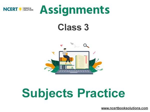 Assignments Class 3 Subjects Practice Pdf Download