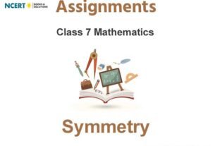 Assignments Class 7 Mathematics Symmetry Pdf Download
