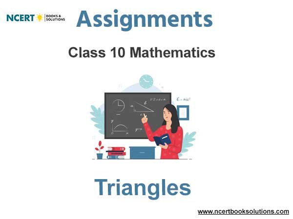 Assignments Class 10 Mathematics Triangles Pdf Download