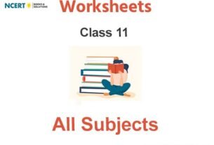 Worksheets Class 11 Pdf Download