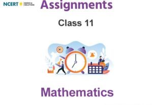 Assignments Class 11 Mathematics Pdf Download