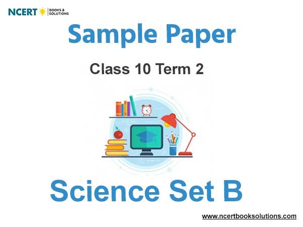 Class 10 Science Sample Paper Term 2 With Solutions Set B